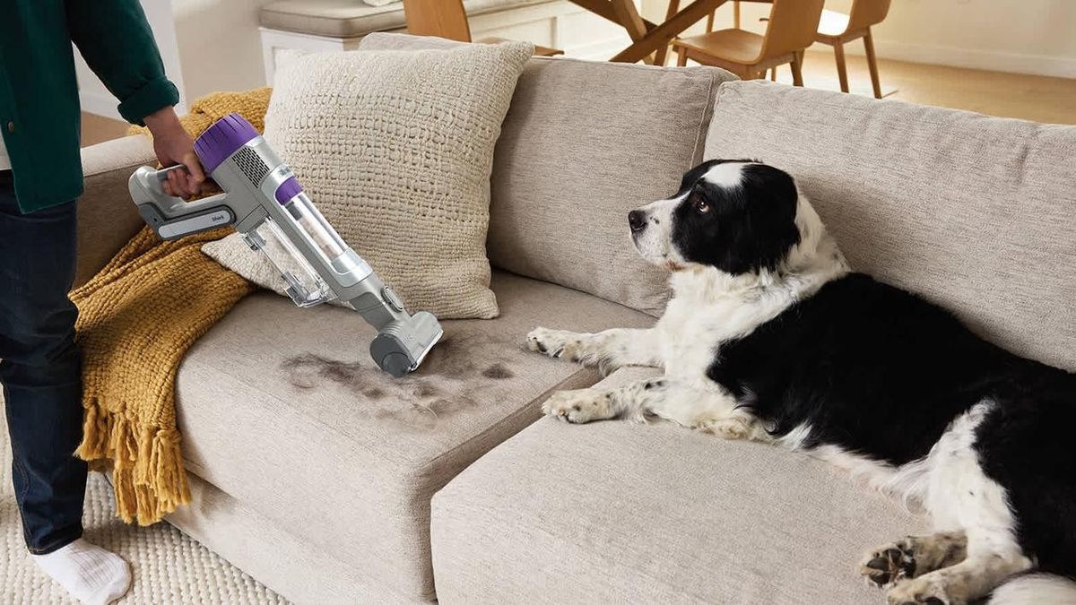 Dulkių siurblys Shark PowerDetect Cordless Pet, pilkas/violetinis, IP1251EUT Dulkių siurblys Shark PowerDetect Cordless Pet, pilkas/violetinis, IP1251EUT