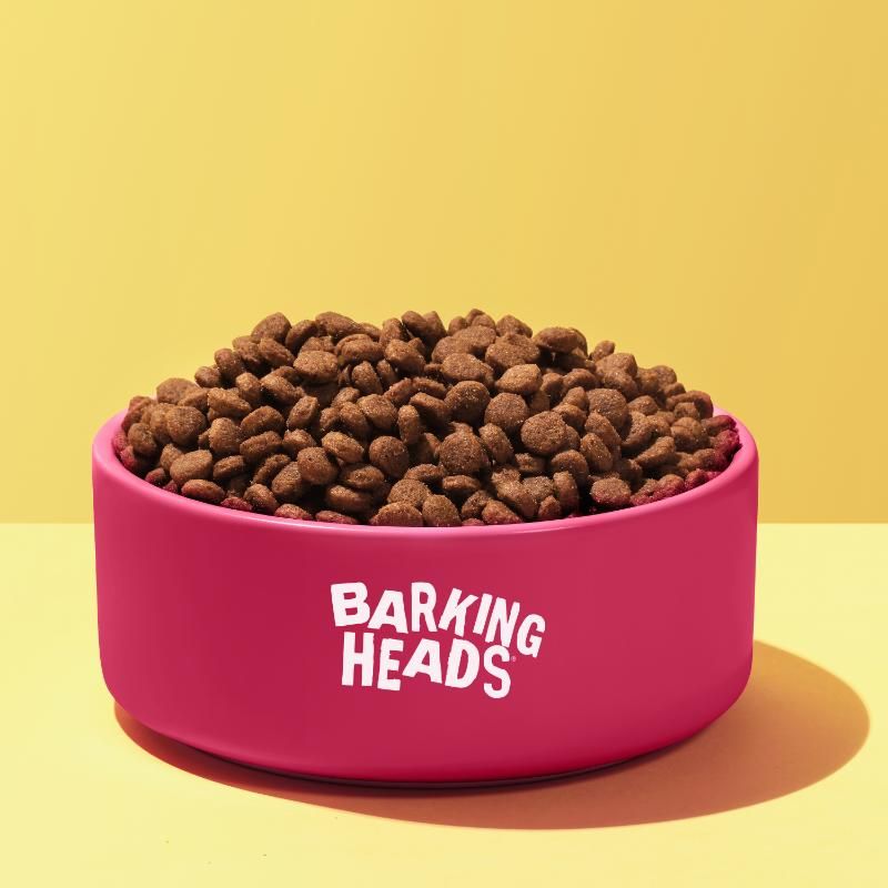 BARKING HEADS Puppy Days Turkey šuniukams su kalakutiena 2kg, E-BHAHPDT-C2