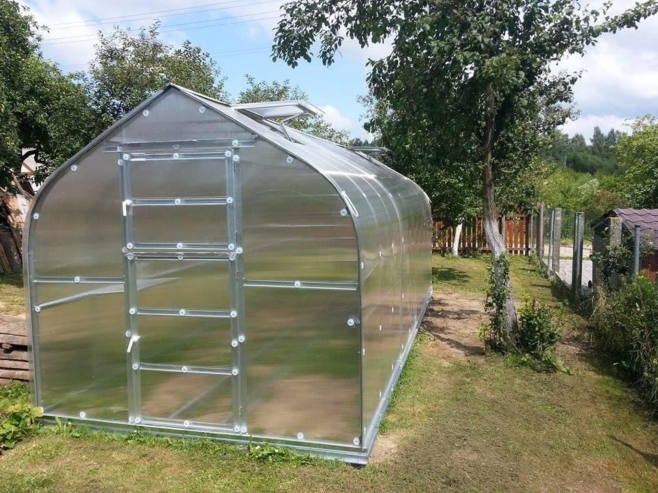 Šiltnamis 10 m2, 4 mm danga Standart KLASIKA, 4779037490257