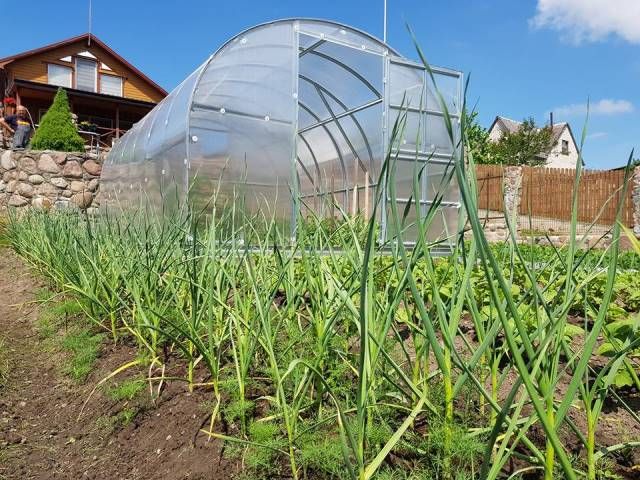 Šiltnamis KLASIKA 18m2 (plotis 3 m) danga 4 mm ilgis 6 m