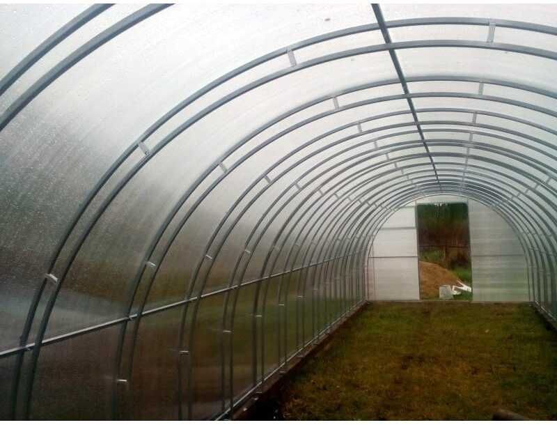 Šiltnamis Nova Tandem (plotis 3m), danga 4mm, 8m