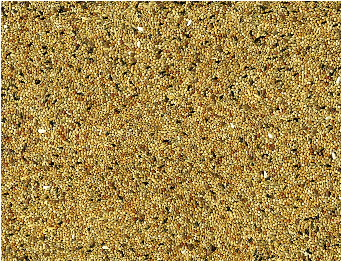 VADIGRAN ORIGINAL banguotoms papūgėlėms 0.5kg, 173/05