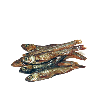 PRODAC TARTAFOOD FISH maistas vėžliams 1200ml 200g, TARF1200