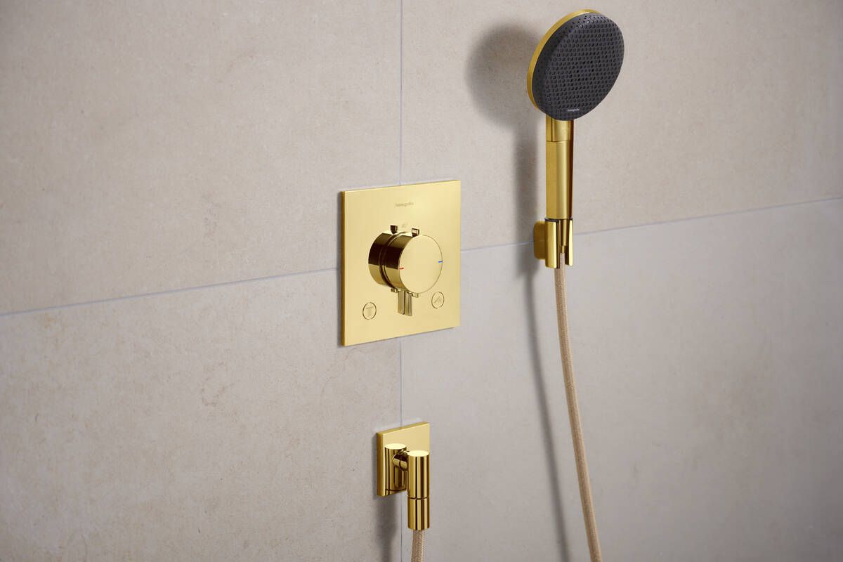 Hansgrohe Raindance Alive Select S dušo komplektas su laikikliu, 125 mm, 3 srovių, EcoSmart, Designflex tekstilinė žarna 160 cm, Polished Gold Optic, 24611990