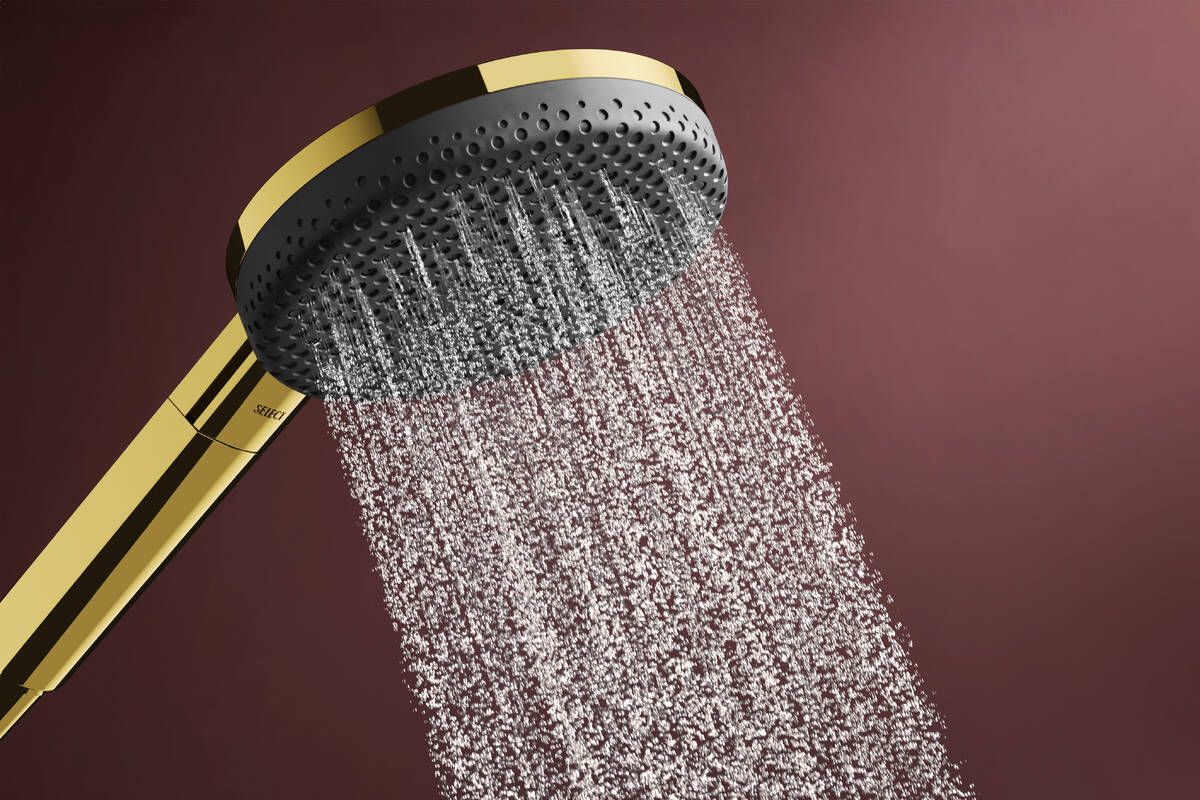 Hansgrohe Raindance Alive Select S dušo komplektas su laikikliu, 125 mm, 3 srovių, EcoSmart, Designflex tekstilinė žarna 160 cm, Polished Gold Optic, 24611990
