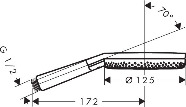 Dušo galvutė Raindance Alive Select S, bronza 24500140