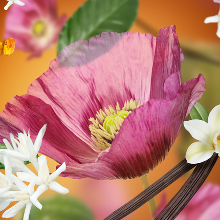 Maison Berger namų kvapas Velvet Of Orient 125 ml, 6828 Maison Berger namų kvapas Velvet Of Orient 125 ml, 6828