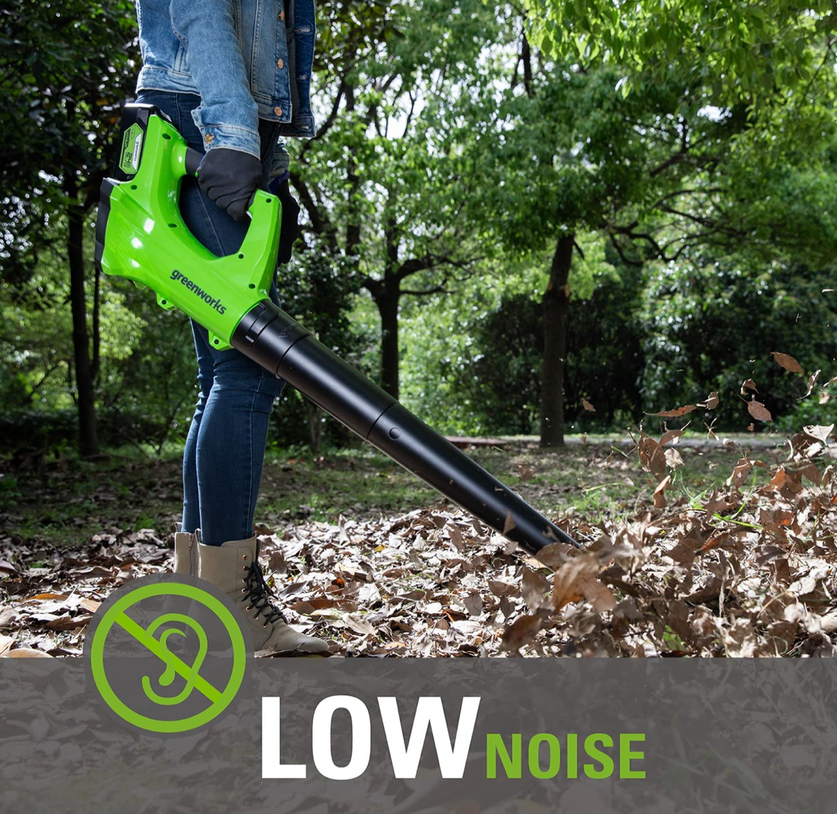 PŪSTUVAS Greenworks G24AB