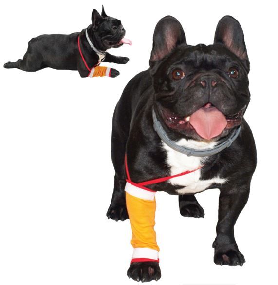 GF Dilbio ir blauzdos tvarstis 4(L), WET4/4(L)