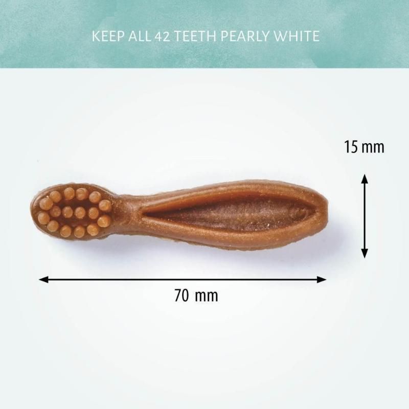 ANTOS Brush Mixed krakmoliniai šepetukai 58vnt (6), 20638P