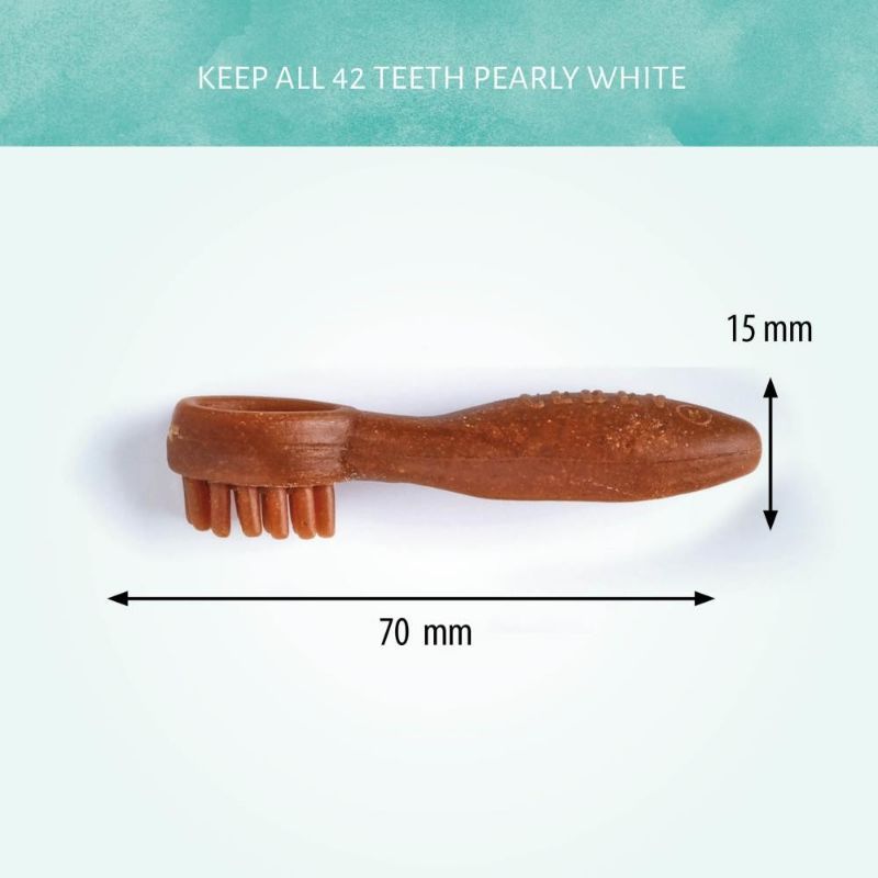 BRUSH MIX 7cm (dėžutė 250vnt), 10353P