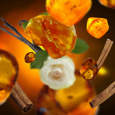 Maison Berger namų kvapas Amber Powder 100 ml, 7757