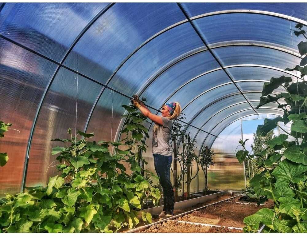 Šiltnamis AGRO TITAN (plotis 3m) danga 6mm, 8m