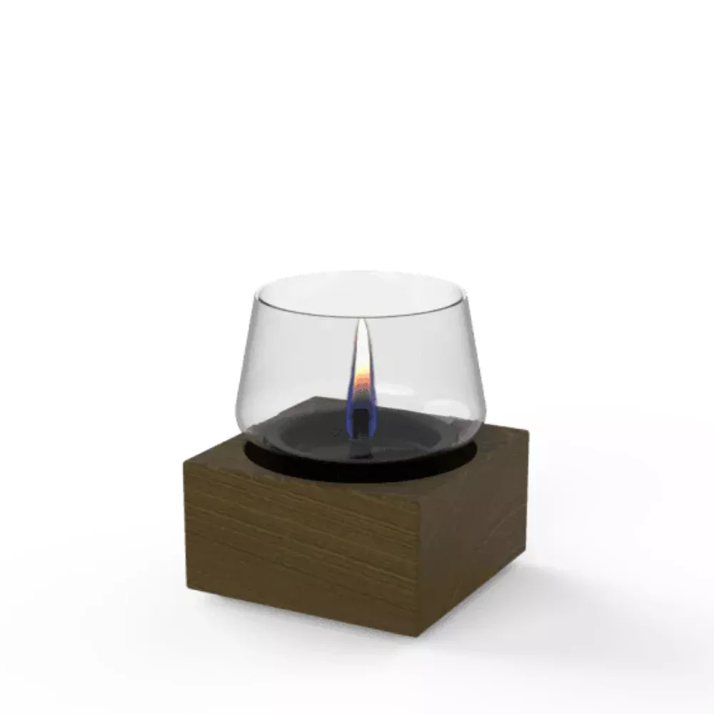 POPPY 14 stalo židinys, naudojamas Tenderfuel skystis