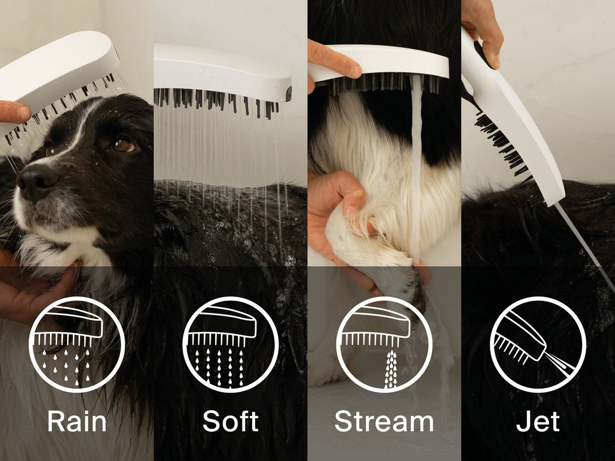 Rankinis dušas šunims, 4 funkcijos, Ravak 949.10WHM baltas matinis, X07P1478