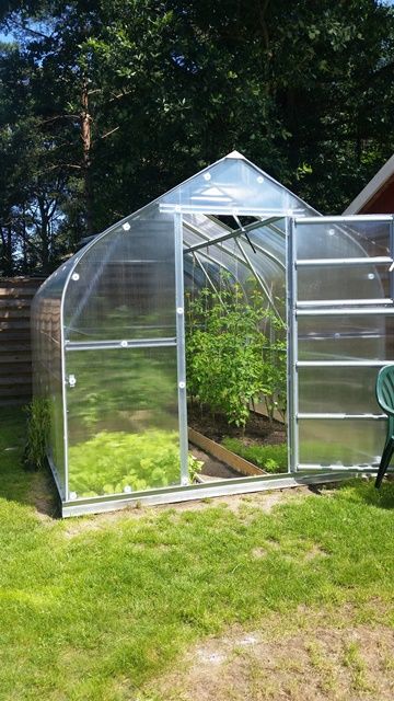 Šiltnamis STANDART KLASIKA 20m2 (plotis 2,5 m) 6 mm danga 8 m