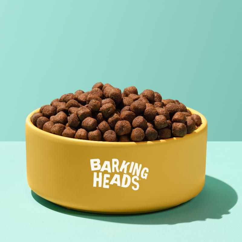 BARKING HEADS Bowl Lickin Goodness pašaras šunims su ėriena 2kg, E-BLM2