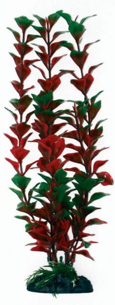 AMTRA LIUDWIGIA plastikinis augalas didelis 23cm 1vnt, A8011925 AMTRA LIUDWIGIA plastikinis augalas didelis 23cm 1vnt, A8011925