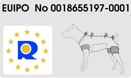 GF Pooperaciniai marškinėliai (žydri) XS 25cm, WET1N/1(XS)