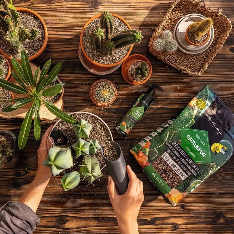 Skystos trąšos Lechuza PERFECT CACTUS, 225 ml, 19621