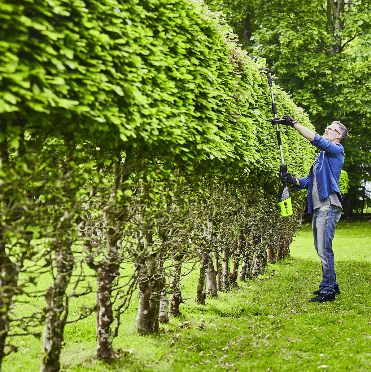 GYVATVORIŲ GENĖTUVAS ILGA RANKENA Greenworks GD60PHT, 6952909070490