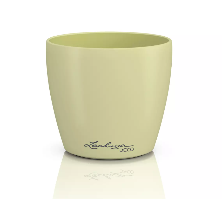 Vazonas LECHUZA DECO 10, 16663, linden