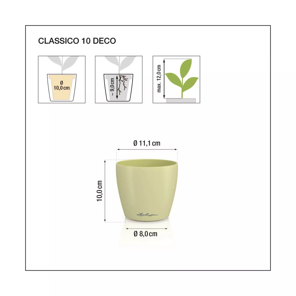 Vazonas LECHUZA DECO 10, 16663, linden