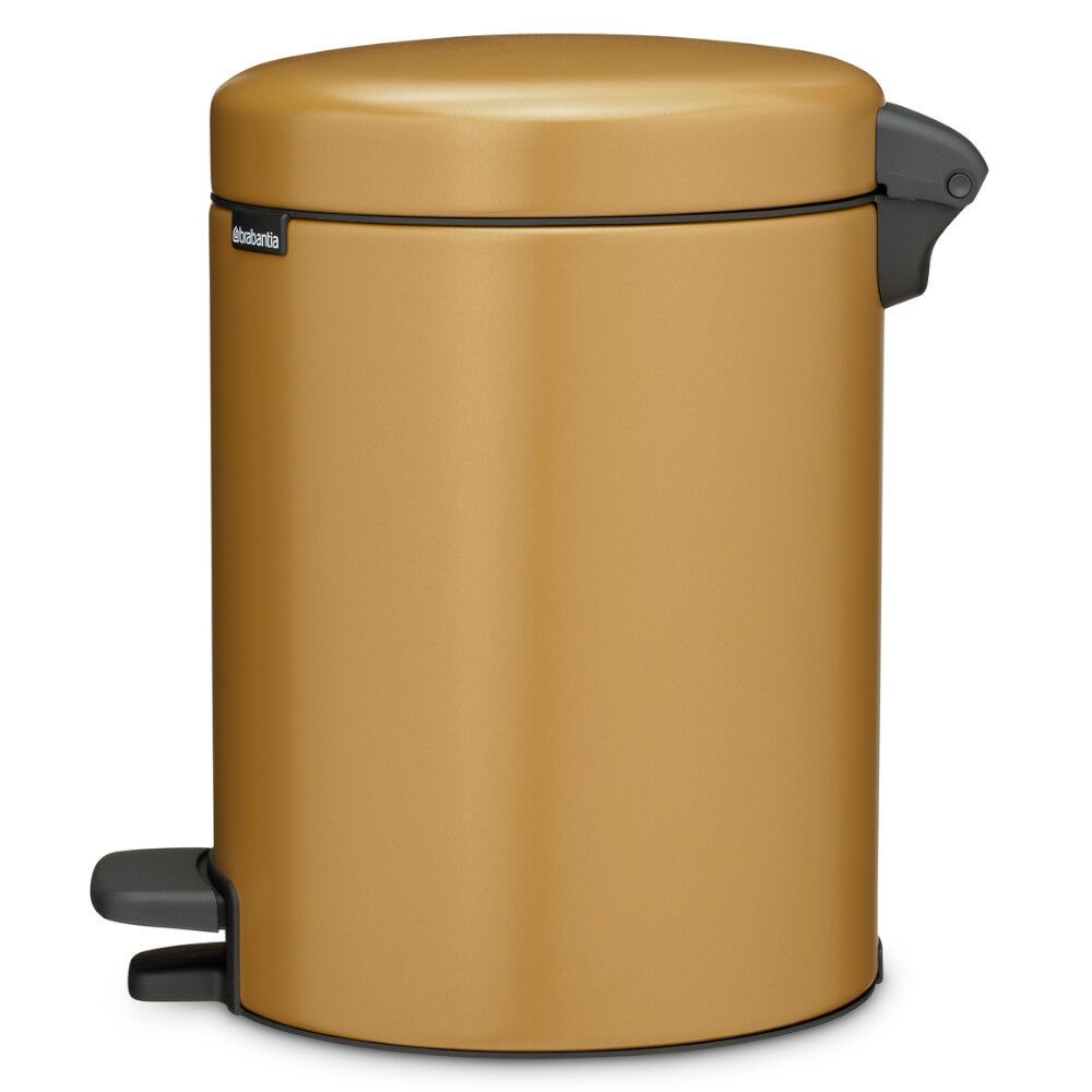 Šiukšlių dėžė Brabantia NewIcon 5L, Warm Gold, 255120