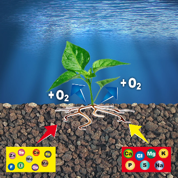 PRODAC FERTIL PLANT 1.8kg, FERTIL1.8