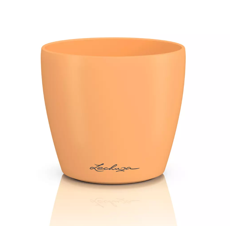Vazonas LECHUZA DECO 10, 16665, papaya