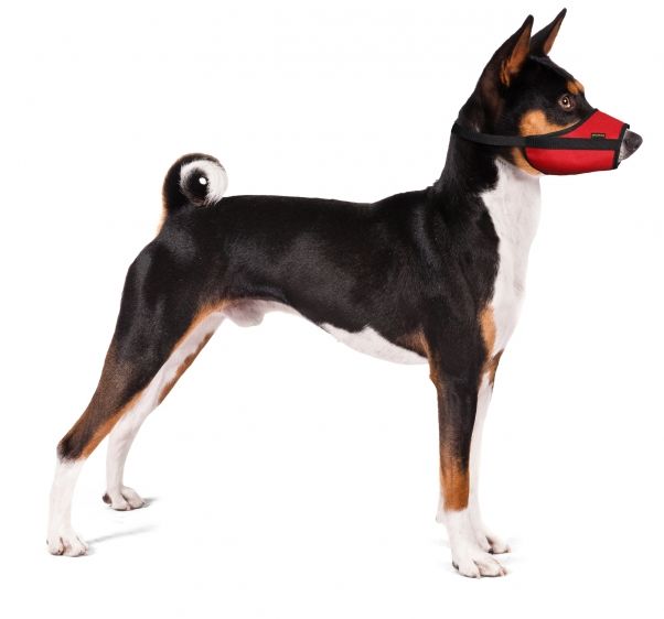 GF Antsnukis VET dydis XL (raudonas) (Veterinarinis), KA/WET/5(XL)