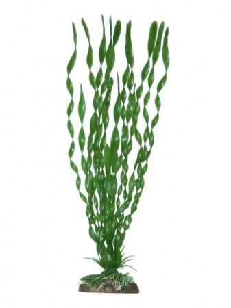AMTRA VALISNERIA plastikinis augalas labai didelis 33cm 1vnt, A8011900