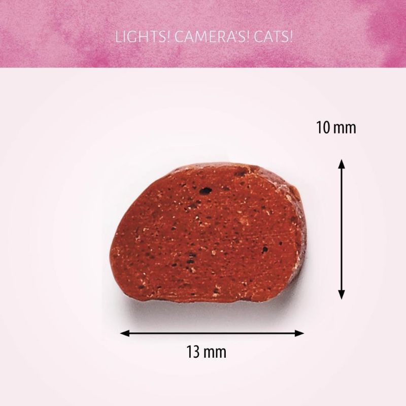 ANTOS Spiced Lamb skanėstai katėms su ėriena 50g (12), 20587P
