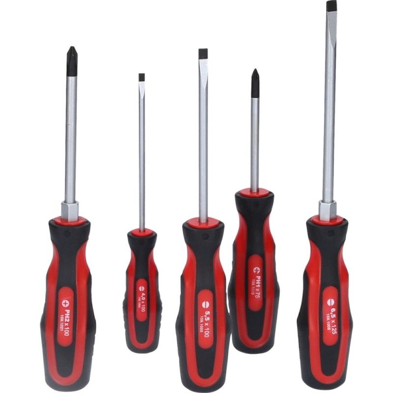 5 dalių atsuktuvų rinkinys KS TOOLS 159.0005