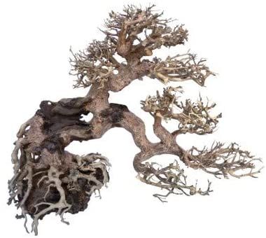 AMTRA dekoracija WOOD ORIENTAL natūralus medis 7 S, A8147660