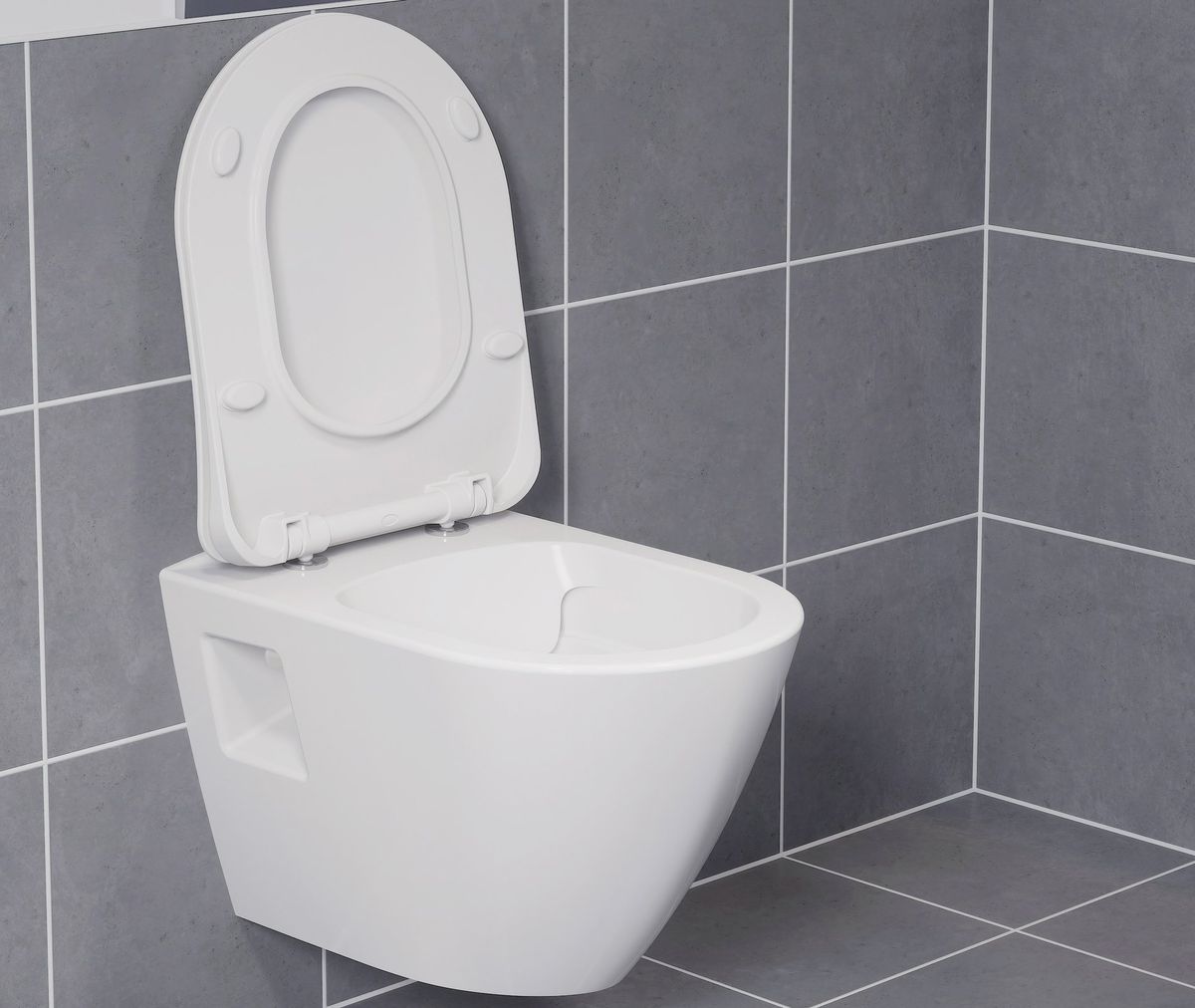 WC sėdynė-dangtis Ravak ENDO balta, X01722