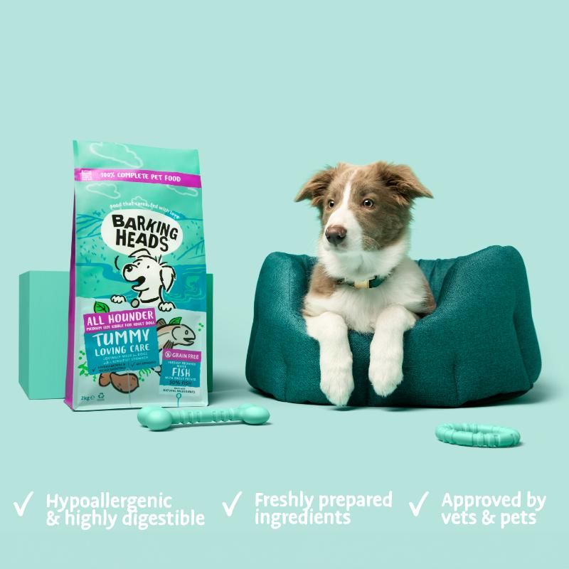 BARKING HEADS Tummy Lovin Care Fish šunims su žuvimi 2kg, E-BFS2