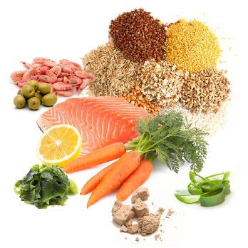 PRODAC TROPICAL FISH FLAKES dribsniai tropinėms žuvims 12g (24), TROP12.02