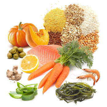 PRODAC VEGETABLE TABLET tabletės veg. dugninėms žuvims 12g (24), TAG12.02
