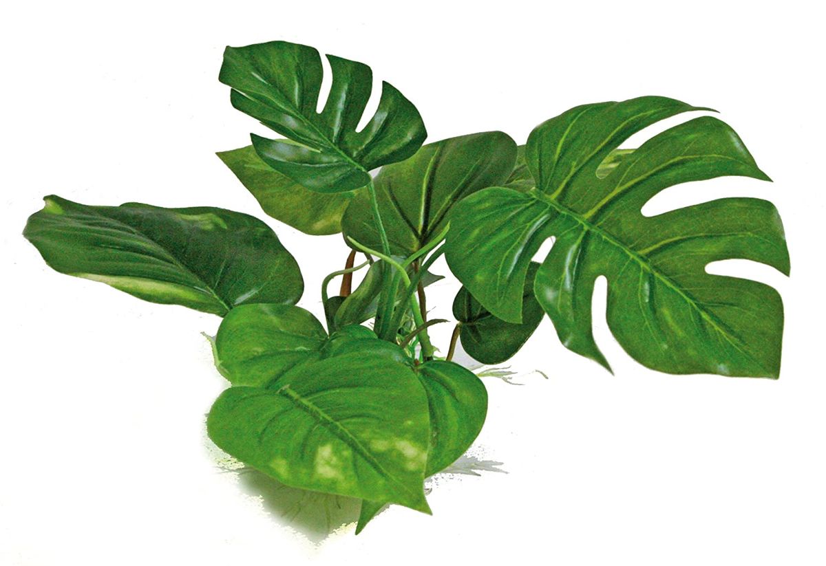 AMTRA ANUBIAS plastikinis augalas 20cm, A8011401 AMTRA ANUBIAS plastikinis augalas 20cm, A8011401