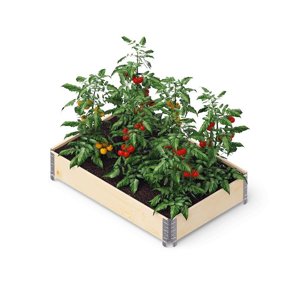 Pakelta Lysvė Gardenbox Professional 120x80x19,5 cm, natūrali, 4752196002721