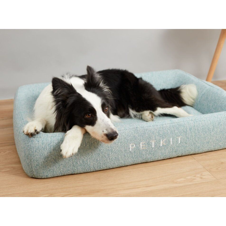 Guolis Petkit Deep Sleep