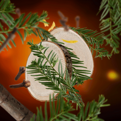 Namų kvapas Maison Berger Virginia Cedarwood 125 ml