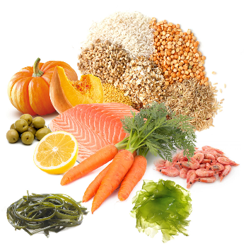 PRODAC BETTA FOOD granulės gaideliams 12g (24), BF12