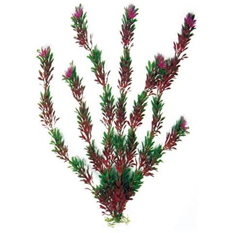AMTRA FLORA BICOLOUR augalas mažas 13cm 1vnt, A8011182