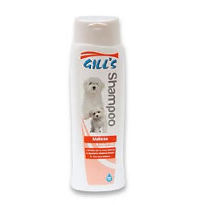 GILL'S MALTESE šampūnas (Maltos bišonams, baltaplaukiams) 200ml (6), C3052984