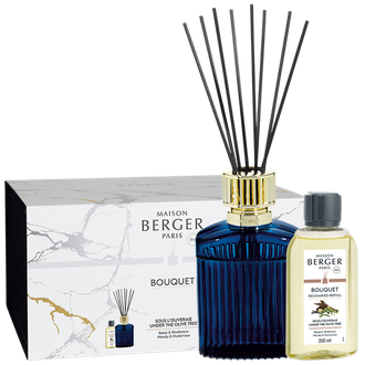 Namų kvapas Maison Berger Alpha Bleu Imperial
