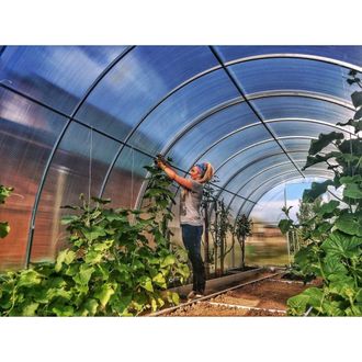 Šiltnamis SVAJONĖ PREMIUM (plotis 3m), danga 4 mm 12 m