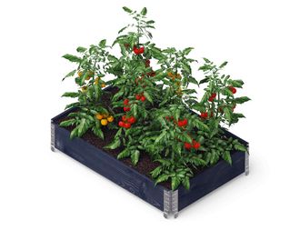 Pakelta lysvė Upyard GardenBox Professional 120x80x19,5 cm, juoda, 4752196002745