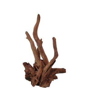 ORBIT Corbo vidutinės šaknys 40-50cm 1vnt, 4284-M